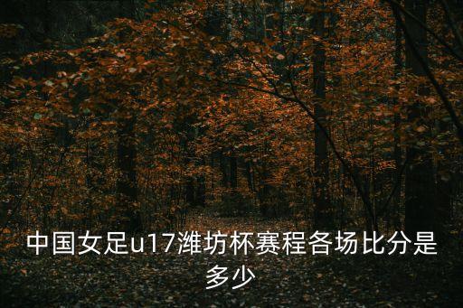 趙瑜潔現(xiàn)在哪個(gè)隊(duì),中國(guó)u17女子國(guó)青1比0戰(zhàn)勝日本國(guó)青隊(duì)