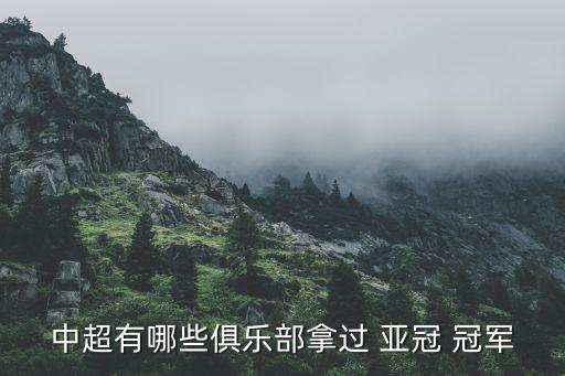 中超有哪些俱樂部拿過 亞冠 冠軍
