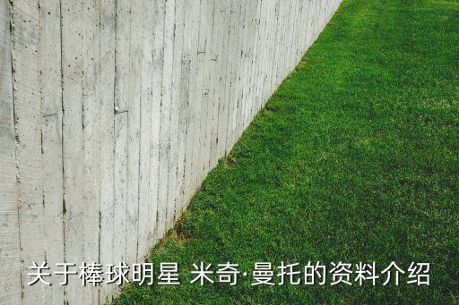 關于棒球明星 米奇·曼托的資料介紹