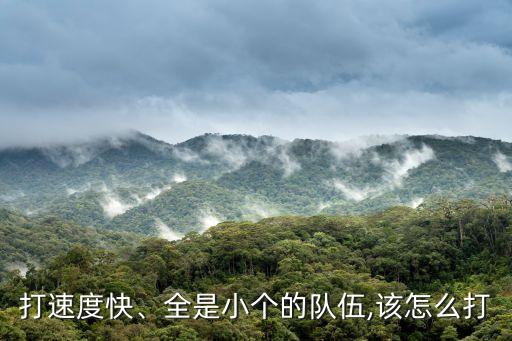 打速度快、全是小個的隊伍,該怎么打
