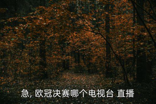 歐冠16強(qiáng)在哪個(gè)臺直播,四個(gè)直播平臺全程播放比賽直播