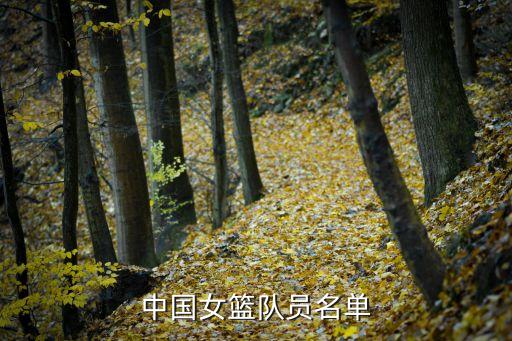 中國(guó)女籃隊(duì)員名單