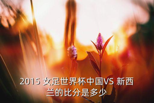 2015 女足世界杯中國(guó)VS 新西蘭的比分是多少