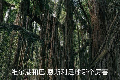 維爾港和巴 恩斯利足球哪個厲害