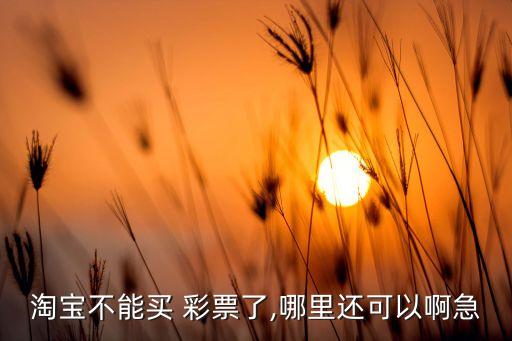 哪個網(wǎng)站還可以買彩票,《辭?！方忉尣势比绾物w鴿子票