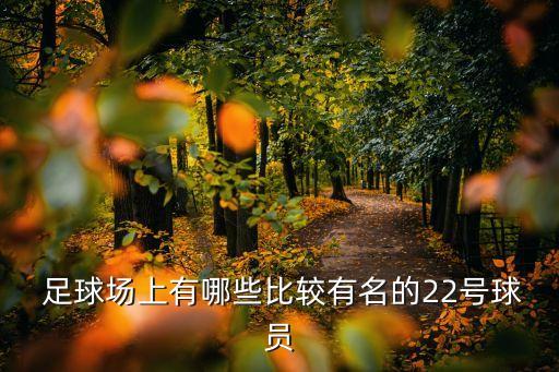  足球場上有哪些比較有名的22號球員