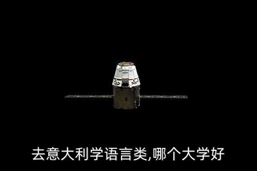去意大利學(xué)語言類,哪個大學(xué)好