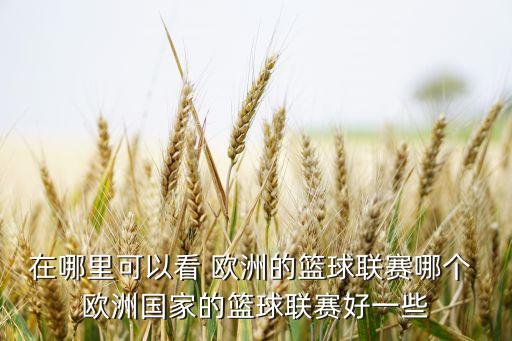 歐洲哪個網(wǎng)站可以看nba,nba如何打球?