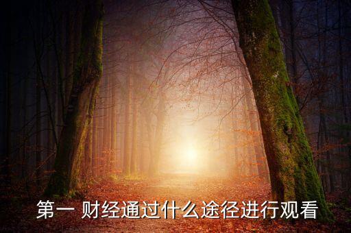 第一 財經(jīng)通過什么途徑進(jìn)行觀看