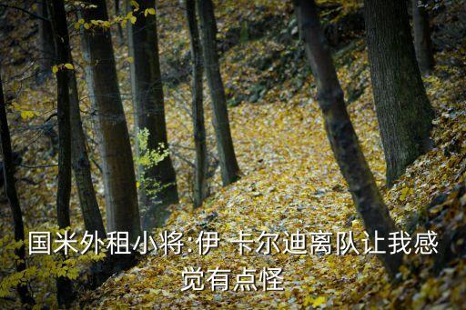 國米外租小將:伊 卡爾迪離隊讓我感覺有點怪