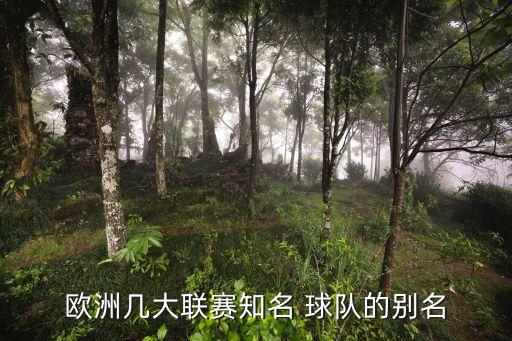 巴恩斯利是哪個球隊,切沃是騾藍(lán)鷹-萊切曼聯(lián)隊隊徽是小辣椒