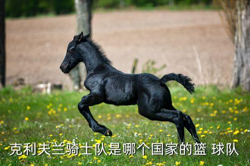 克利夫蘭騎士隊(duì)是哪個(gè)國家的籃 球隊(duì)