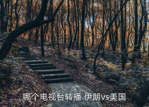 哪個(gè)電視臺(tái)轉(zhuǎn)播 伊朗vs美國(guó)