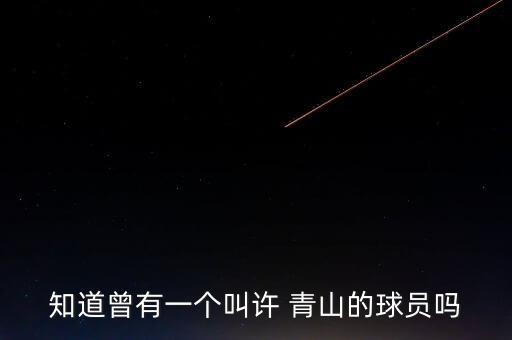 知道曾有一個(gè)叫許 青山的球員嗎