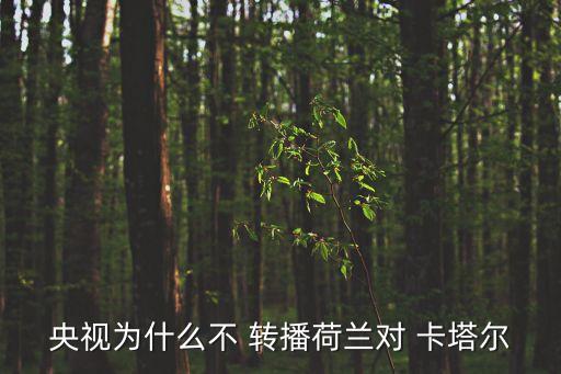 哪個轉(zhuǎn)播卡塔爾甲級聯(lián)賽,世界杯中國北京賽區(qū)1點開賽轉(zhuǎn)播