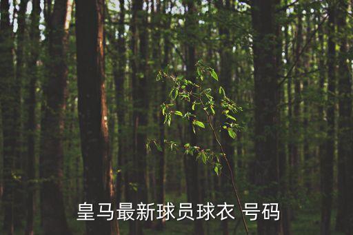  皇馬最新球員球衣 號(hào)碼
