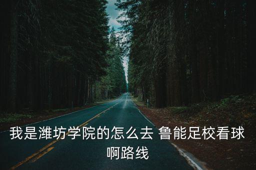 我是濰坊學(xué)院的怎么去 魯能足?？辞虬÷肪€