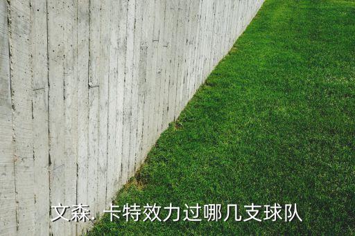 文森. 卡特效力過(guò)哪幾支球隊(duì)