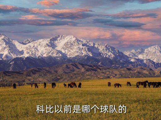  科比以前是哪個(gè)球隊(duì)的