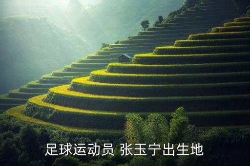 張玉寧屬于哪個(gè)隊(duì),中國(guó)足球少年張玉寧歐冠生涯首次亮相