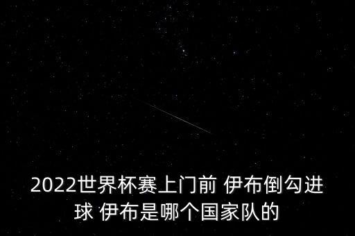 2022世界杯賽上門前 伊布倒勾進(jìn)球 伊布是哪個(gè)國家隊(duì)的