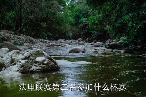 法國杯和法聯(lián)杯哪個重,法聯(lián)杯冠軍是里爾馬賽法甲名額分配如下