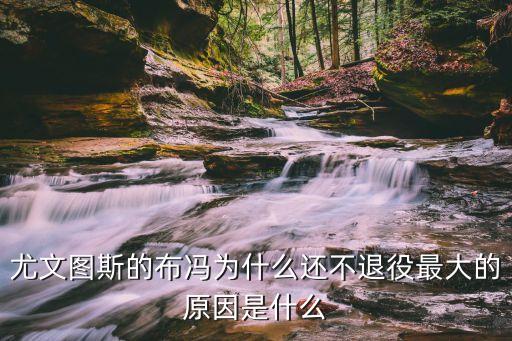 布馮是哪個隊的,世界杯、亞辛獎是布馮向世界證明自己的舞臺