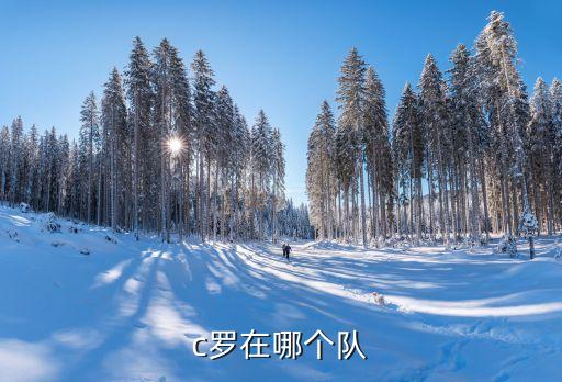 c羅在哪個隊