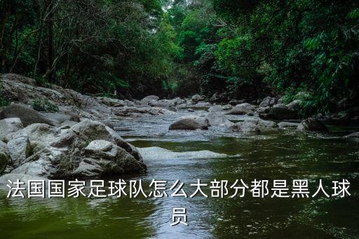 帕耶在哪個俱樂部,法國引進(jìn)非裔球員比如博格巴和佩耶