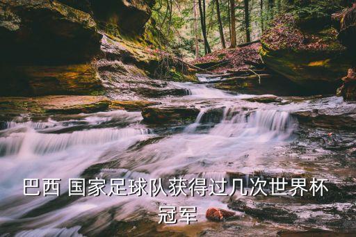巴西 國(guó)家足球隊(duì)獲得過(guò)幾次世界杯 冠軍