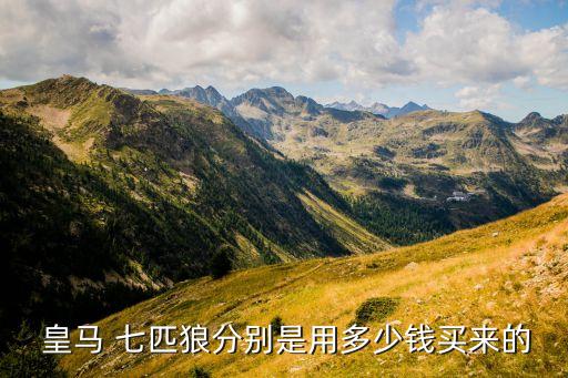  皇馬 七匹狼分別是用多少錢(qián)買(mǎi)來(lái)的