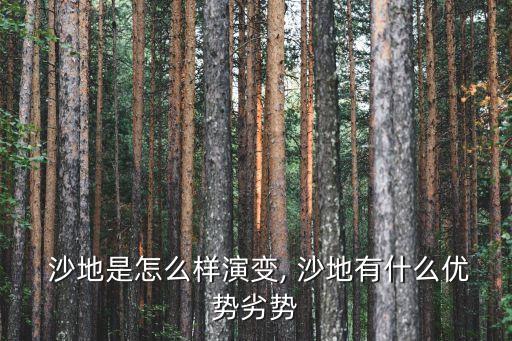  沙地是怎么樣演變, 沙地有什么優(yōu)勢(shì)劣勢(shì)