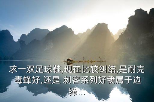 毒蜂和刺客哪個寬,選擇中庸之路還是運(yùn)動健康為優(yōu)選擇