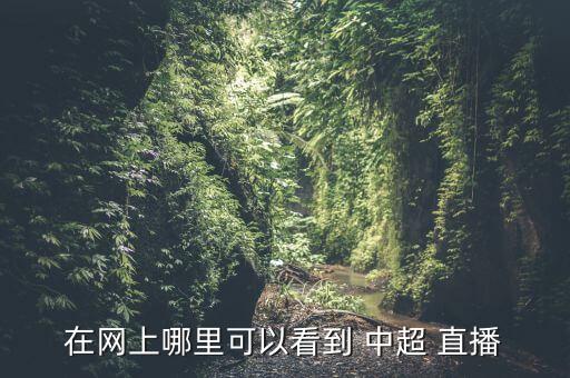 在網上哪里可以看到 中超 直播
