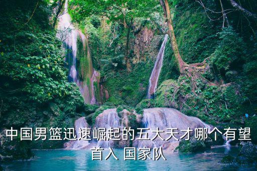 中國男籃迅速崛起的五大天才哪個有望首入 國家隊