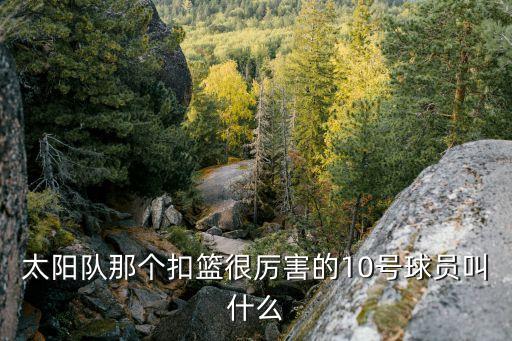 太陽隊那個扣籃很厲害的10號球員叫什么