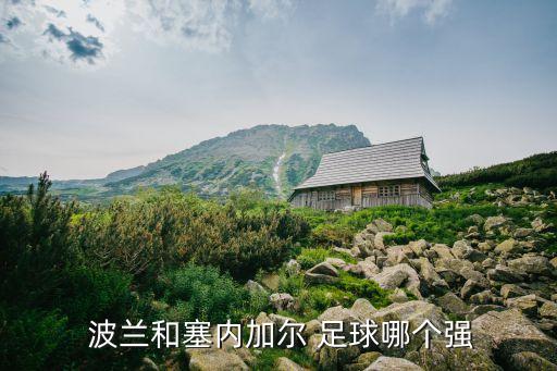 波蘭跟塞爾維亞足球哪個(gè)強(qiáng),法國(guó)擊敗波蘭挺進(jìn)8強(qiáng)賽