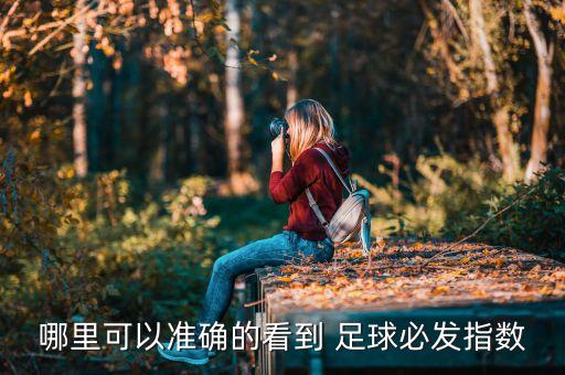 哪里可以準(zhǔn)確的看到 足球必發(fā)指數(shù)