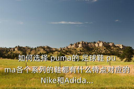 如何選擇 puma的 足球鞋 puma各個(gè)系列的鞋都有什么特點(diǎn)對應(yīng)的Nike和Adida...