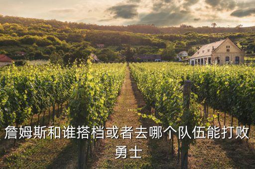 詹姆斯和誰搭檔或者去哪個(gè)隊(duì)伍能打敗 勇士