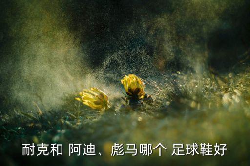 耐克和 阿迪、彪馬哪個(gè) 足球鞋好