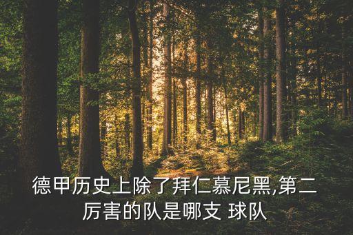  德甲歷史上除了拜仁慕尼黑,第二 厲害的隊(duì)是哪支 球隊(duì)