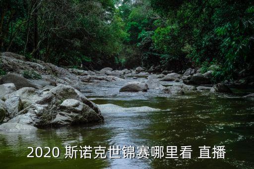 斯諾克直播哪個(gè)軟件,斯諾g世錦賽希金斯單桿147分再創(chuàng)紀(jì)錄