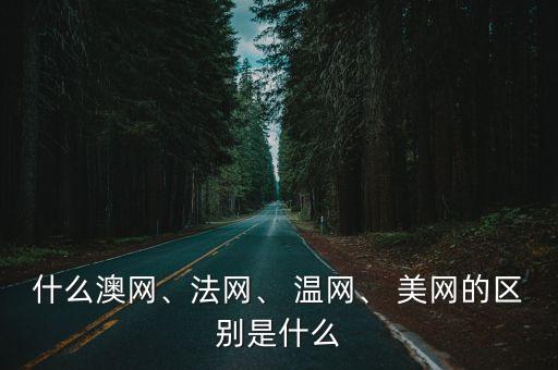 什么澳網(wǎng)、法網(wǎng)、 溫網(wǎng)、 美網(wǎng)的區(qū)別是什么