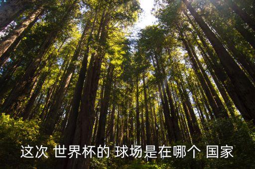 世界杯開幕球場(chǎng)哪個(gè)國(guó)家造的,南非擊敗摩洛哥成為世界杯主辦國(guó)