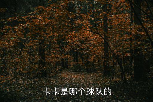 卡卡在哪個隊踢球,卡卡轉會奧蘭多城隊