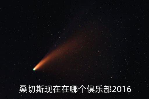 桑切斯現(xiàn)在在哪個隊,美洲杯揭幕戰(zhàn)桑切斯率隊殺入四強