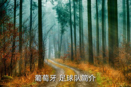 葡萄牙 足球隊簡介