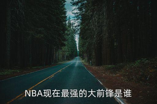 大衛(wèi)李現(xiàn)在在哪個隊,大前鋒大衛(wèi)李不需要他進攻