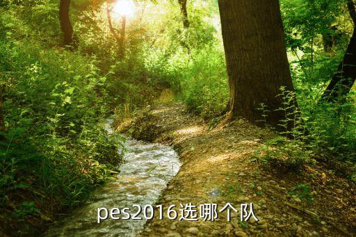 盧卡庫(kù)pes16在哪個(gè)隊(duì),轉(zhuǎn)會(huì)窗口開(kāi)啟前最后一名選手